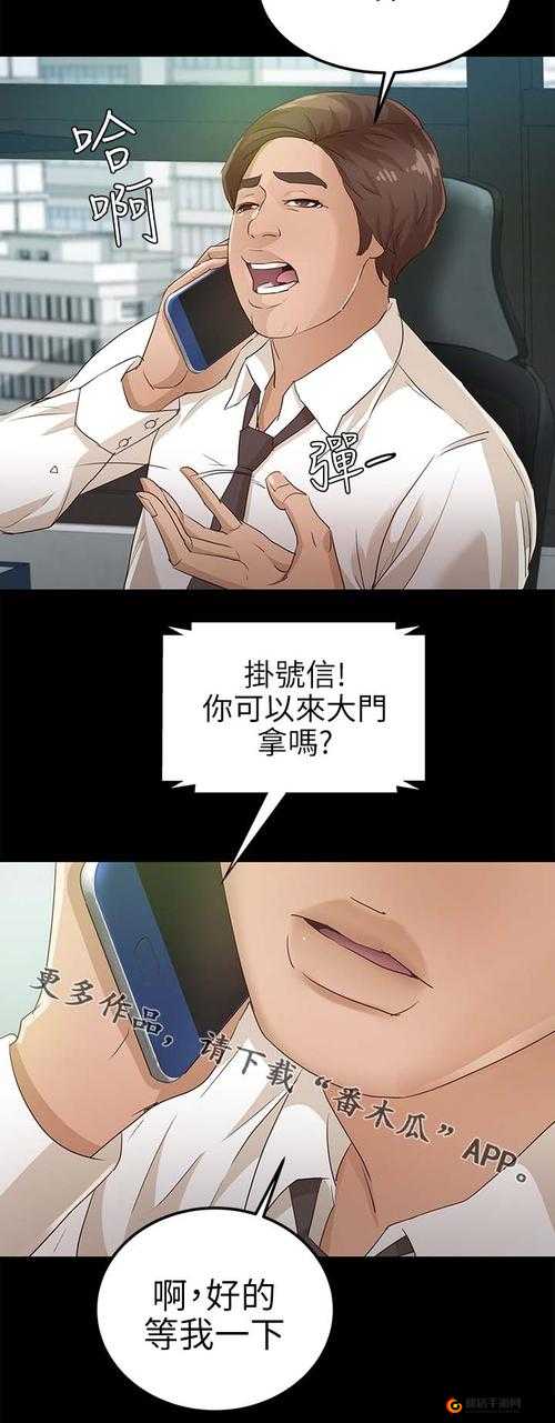 肉食教师食取报告 3HD：独特视角的深度剖析